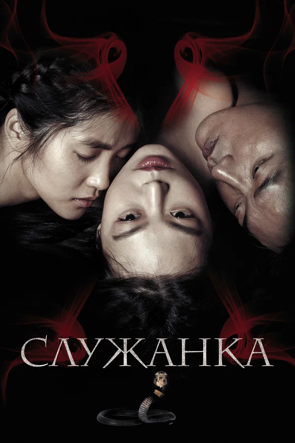 Постер: Служанка