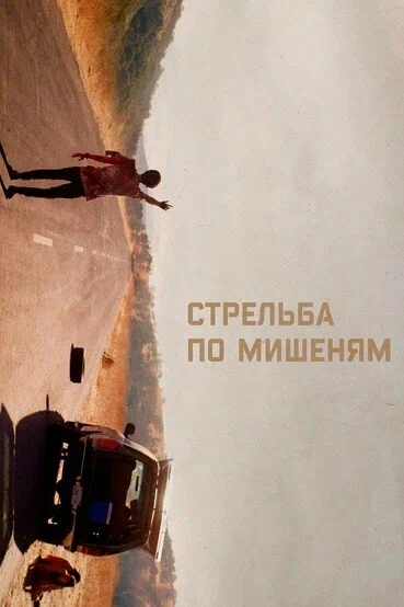 Постер: Стрельба по мишеням
