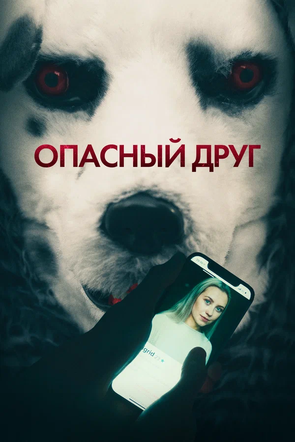 Постер: Опасный друг