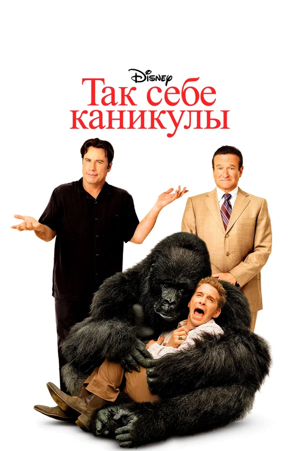 Постер: Так себе каникулы