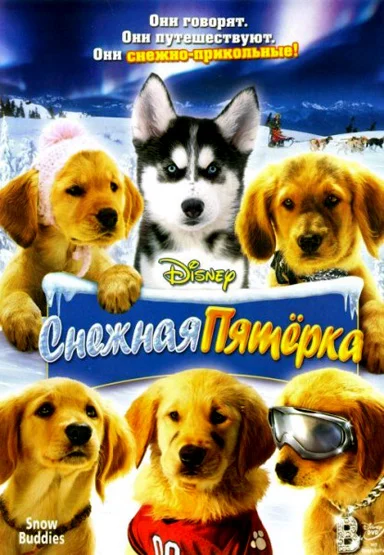 Постер: Снежная пятерка