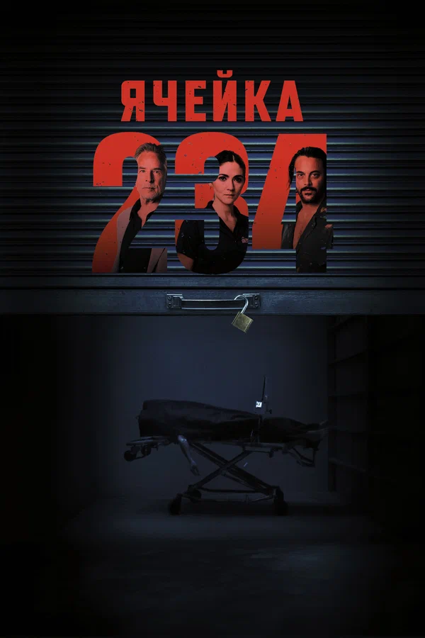 Постер: Ячейка 234